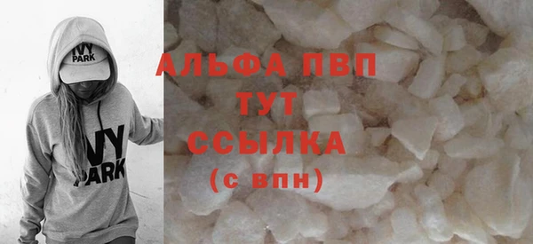 стаф Арсеньев