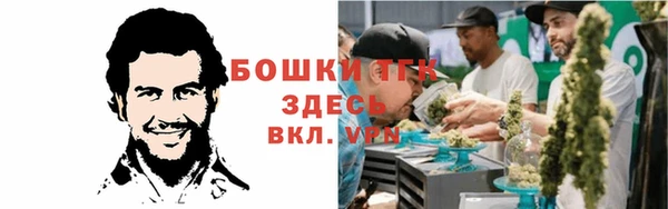 стаф Арсеньев