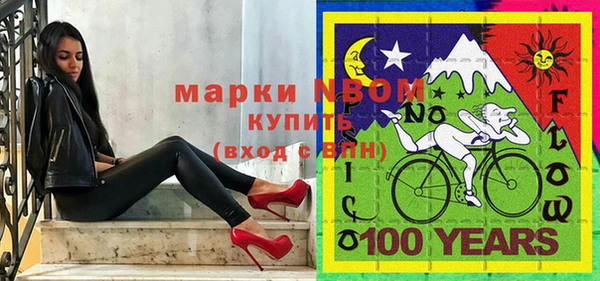 стаф Арсеньев