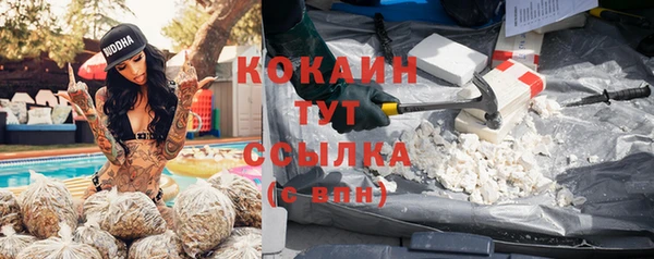 дживик Кострома