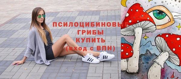 стаф Арсеньев