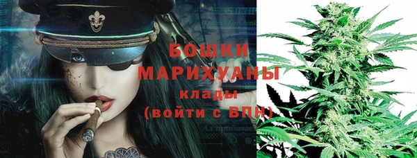 стаф Арсеньев