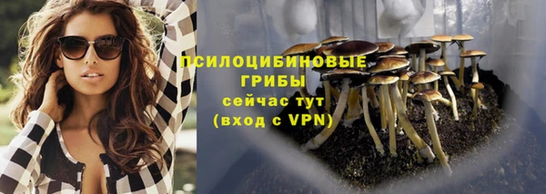 стаф Арсеньев