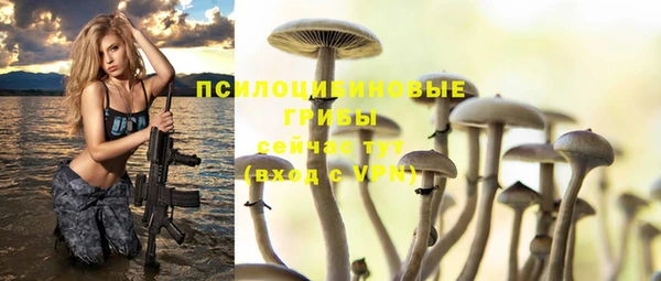 стаф Арсеньев