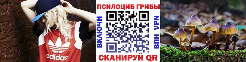 Псилоцибиновые грибы Magic Shrooms  Козьмодемьянск 